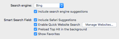 safari search options